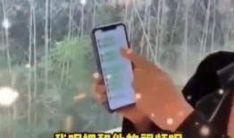 张兰抖音爆料视频在哪看,观看途径全解析