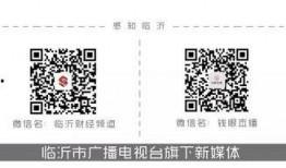 紧急扩散爆料视频播放,揭秘事件真相